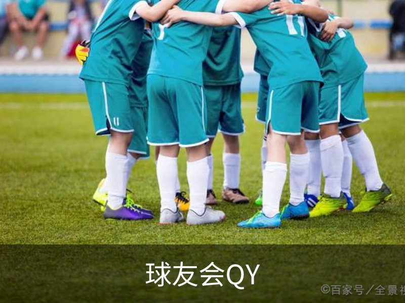 关于球友会QY